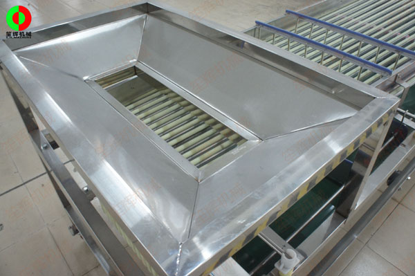 圣女果分級(jí)機(jī) 