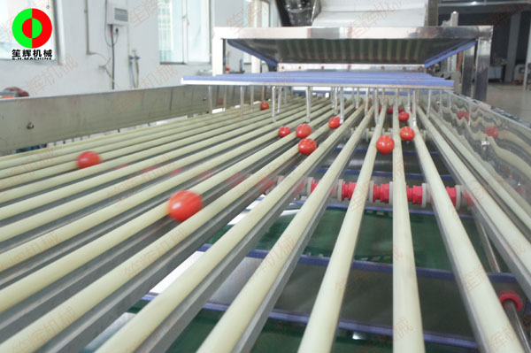 圣女果分級(jí)機(jī) 