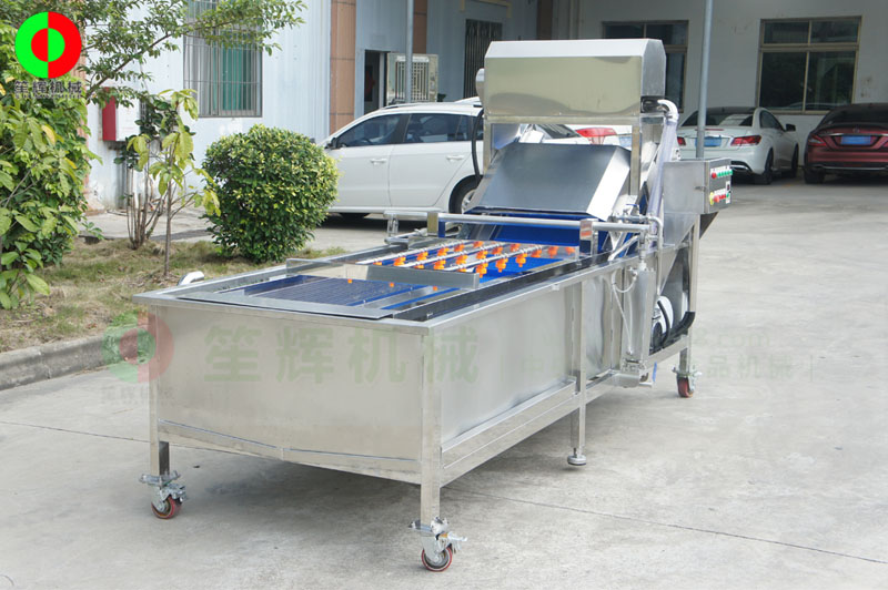 全網(wǎng)鏈輸送洗菜機(jī)