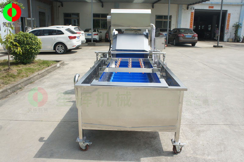 全網(wǎng)鏈輸送洗菜機(jī)