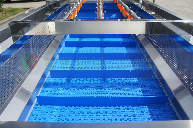 全網(wǎng)鏈輸送洗菜機(jī)