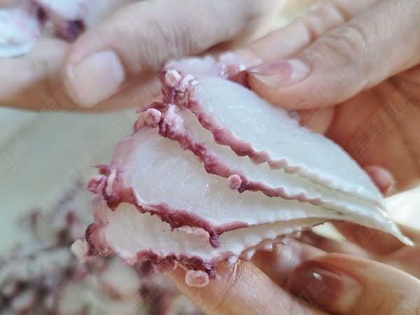 斜切魚片機(jī)