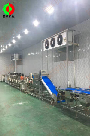 佛山客戶蔬果加工處理生產(chǎn)線現(xiàn)場安裝完成