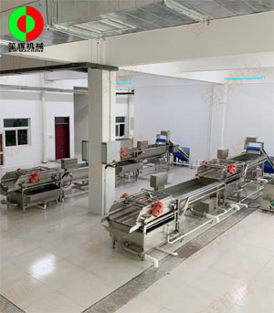 客戶現(xiàn)場(chǎng)兩條蔬菜清洗加工生產(chǎn)線順利安裝調(diào)試完成！