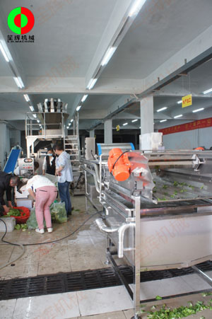 客戶自帶大批物料到我司測試蔬果處理設(shè)備后簽訂定購合同！