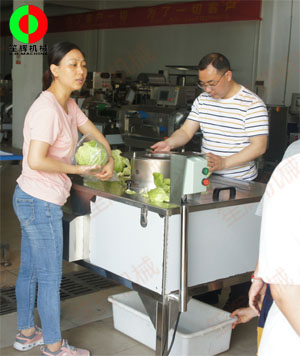 蔬果分瓣機現(xiàn)場測試，客戶滿意切割效果！