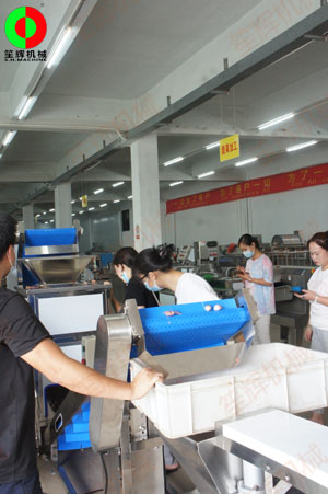 惠州客戶王小姐親臨我司測試洋蔥脫皮及切碎設(shè)備！