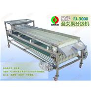 FJ-3000圣女果分級(jí)機(jī)(視頻)