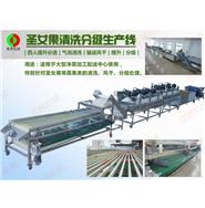 圣女果清洗風(fēng)干分級生產(chǎn)線(視頻)