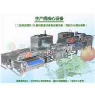 蔬果分選預制冷水清洗保鮮/臭氧水去農(nóng)殘清洗風干生產(chǎn)線(視頻)