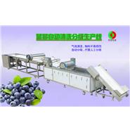 藍莓/蔬果全自動清洗分級生產(chǎn)線