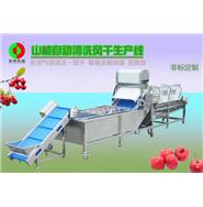 山楂清洗生產(chǎn)線/山楂清洗風干生產(chǎn)線