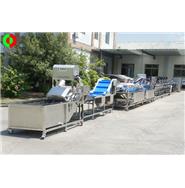 大型蔬果分選-無損清洗-風干包裝-金屬檢探生產(chǎn)線 (視頻)