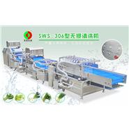 無損洗菜機(jī)\無損清洗機(jī)\九米無損洗菜機(jī) SWS-306 (視頻)