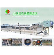12米巴氏殺菌漂燙線/巴氏殺菌機(jī)/漂燙殺菌機(jī)